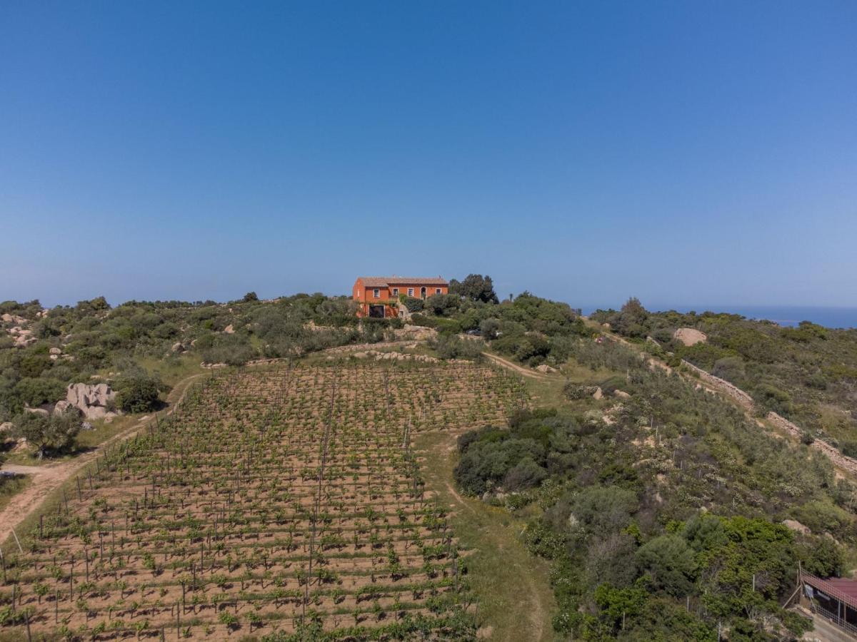 Holiday Home Rita By Interhome Palau Bagian luar foto